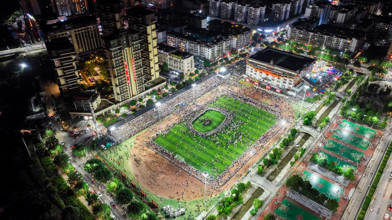 紫云等, 协会主席秦 紫云等, 协会主席秦